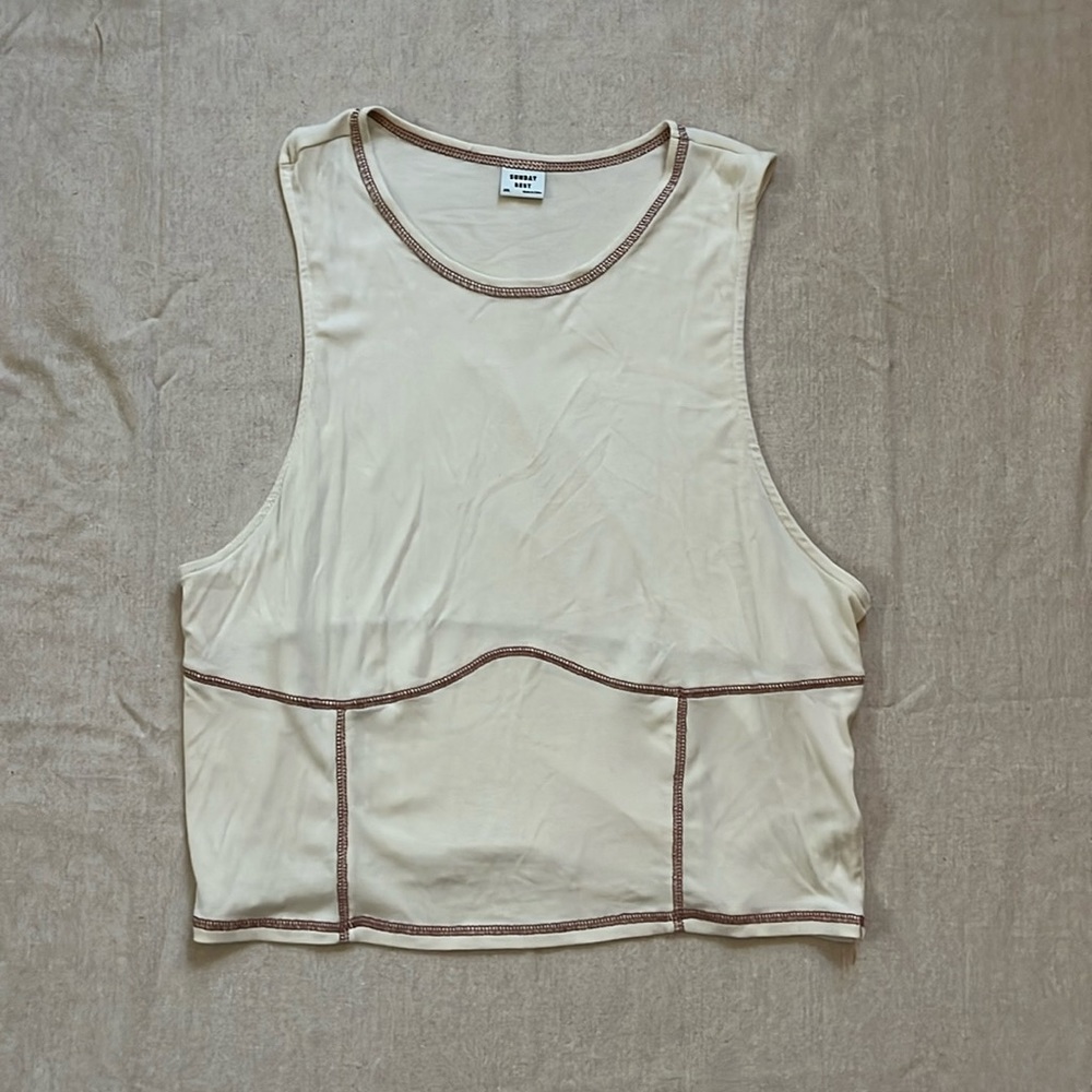 Aritzia Sunday best tank. Size 2x. Cream with mauve stitching. Worn once.
